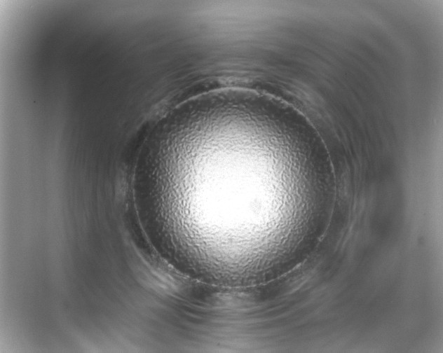 X0000068730367200605051505