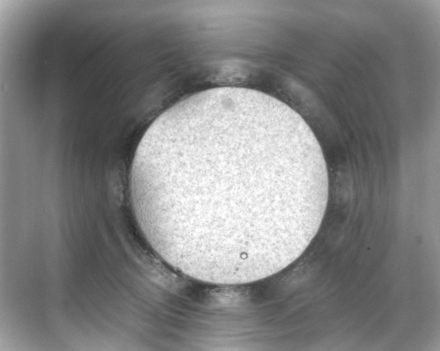 X0000068730370200605051505