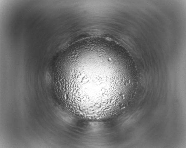 X0000068730371200605051505