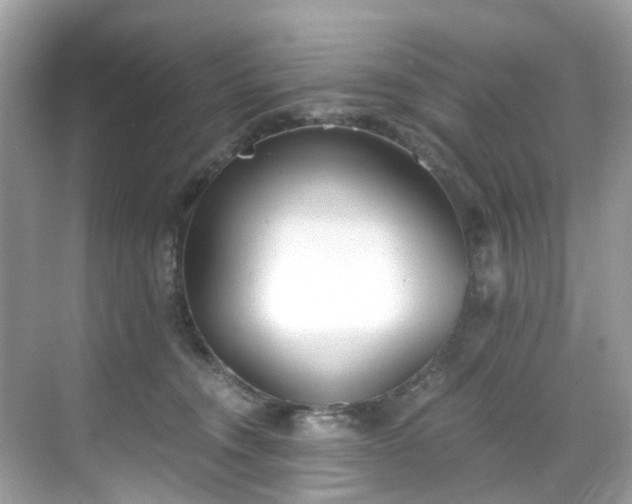 X0000068730372200605051505