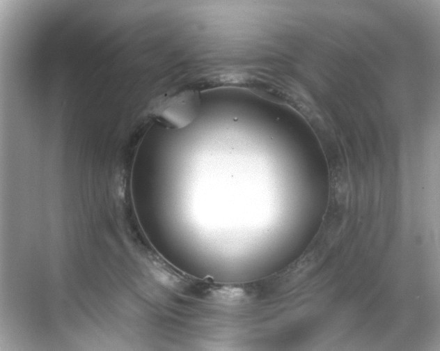 X0000068730374200605051505