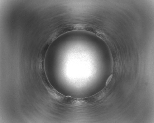 X0000068730379200605051505