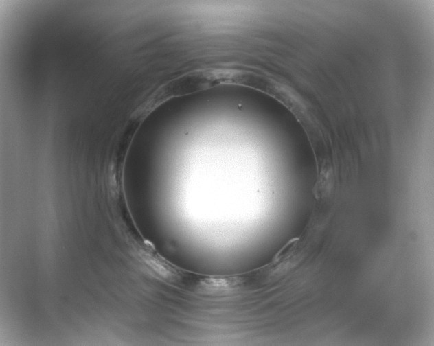 X0000068730381200605051505