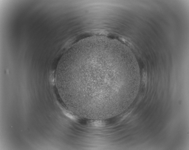 X0000068730383200605051505