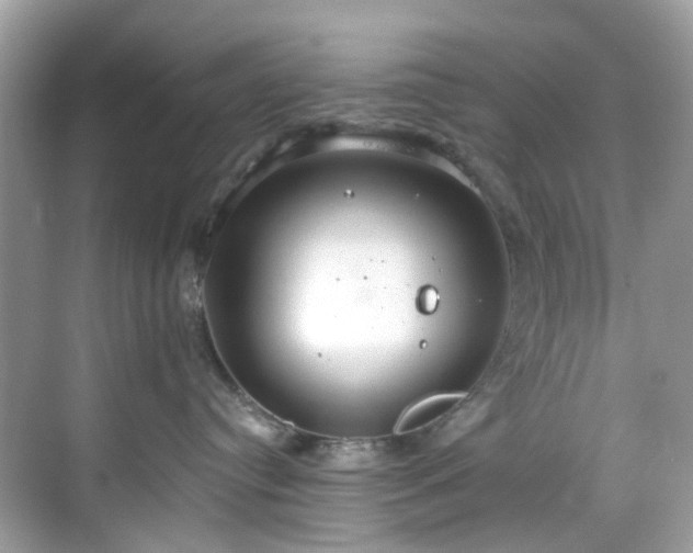 X0000068730384200605051505