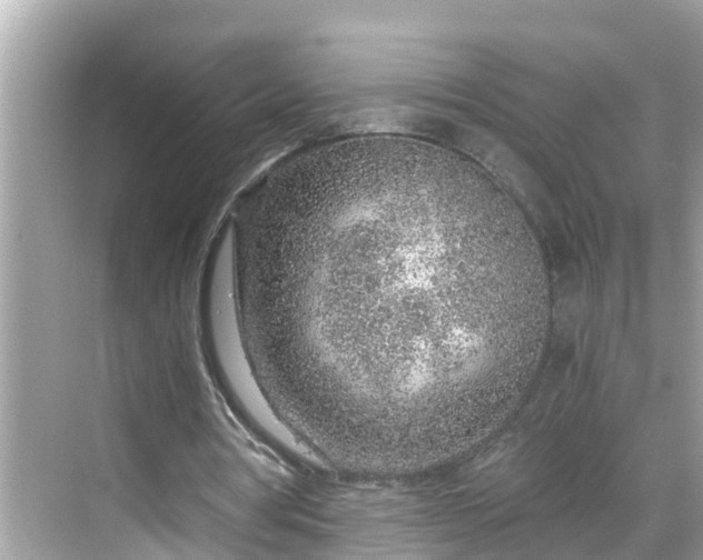 X0000068730386200605051504