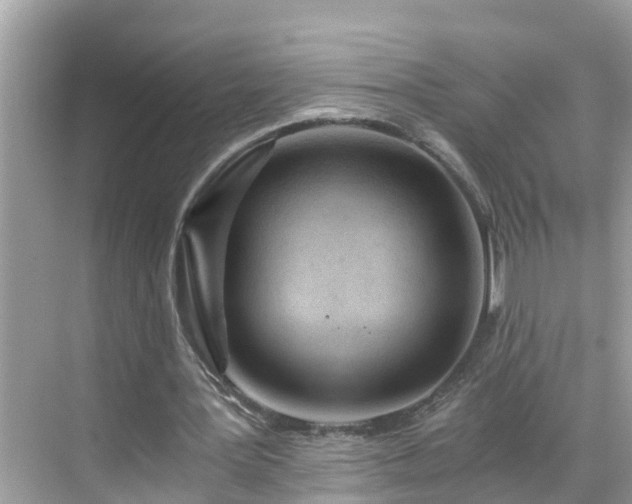 X0000068730387200605051504