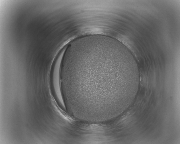 X0000068730390200605051504