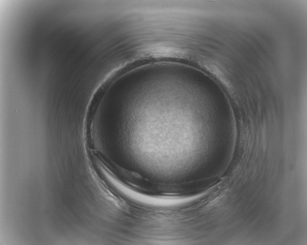 X0000068730391200605051504