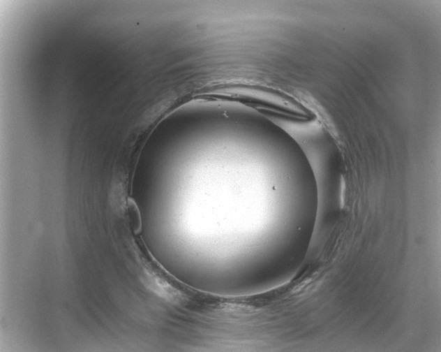 X0000068730393200605051504