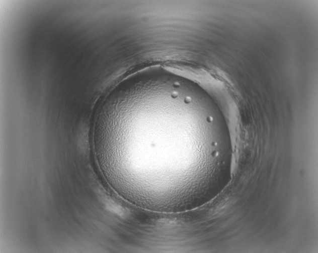 X0000068730394200605051504