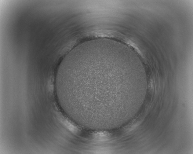 X0000068730402200605051504