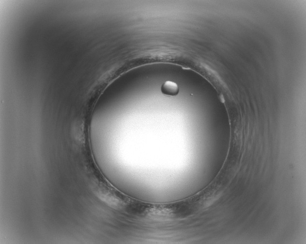 X0000068730403200605051504