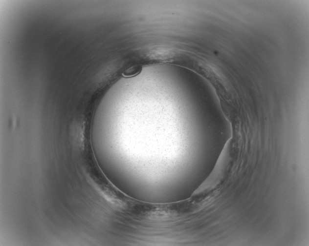 X0000068730404200605051504