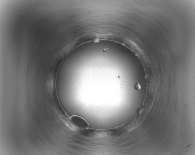 X0000068730405200605051504