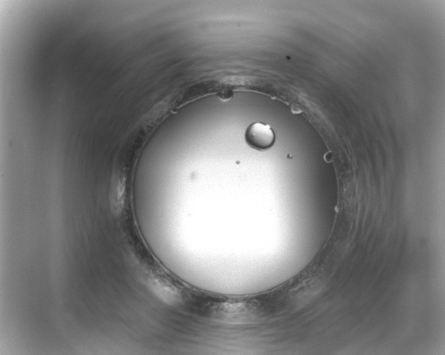 X0000068730406200605051504