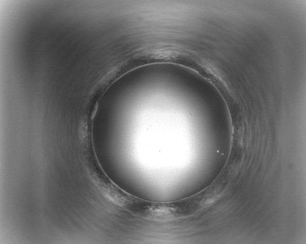 X0000068730407200605051504