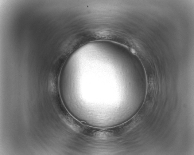 X0000068730408200605051504