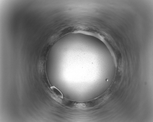 X0000068730409200605051504