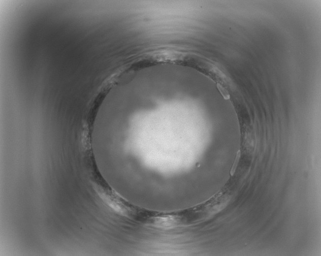 X0000068730411200605051504