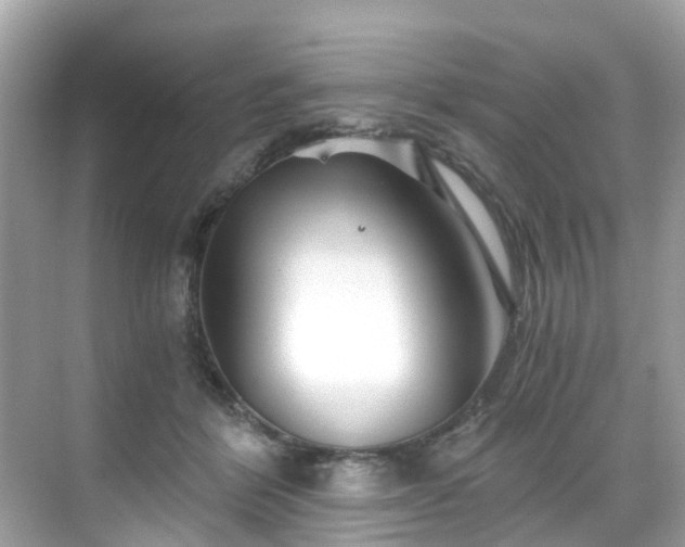 X0000068730412200605051504