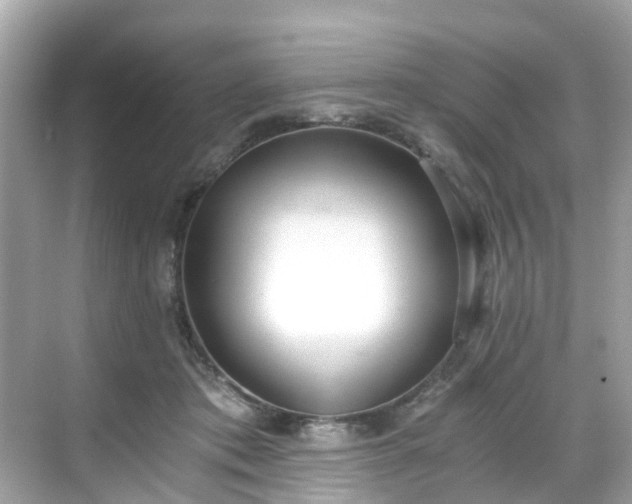 X0000068730413200605051504