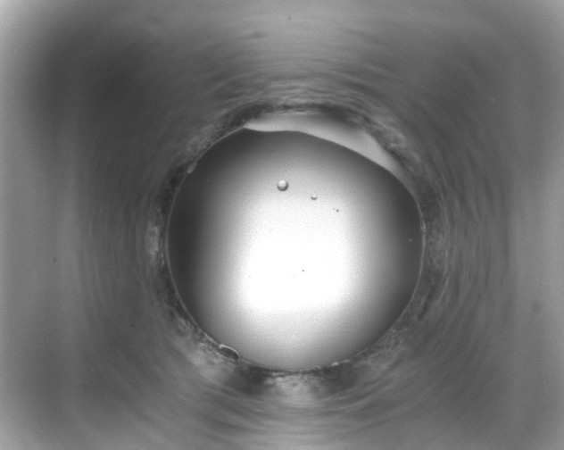 X0000068730417200605051504