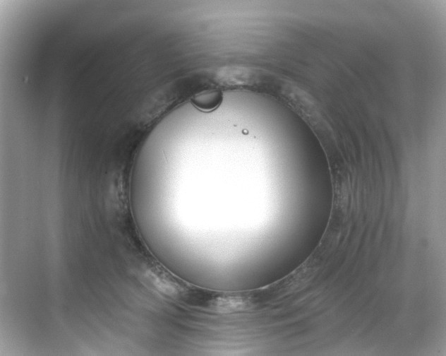 X0000068730418200605051504