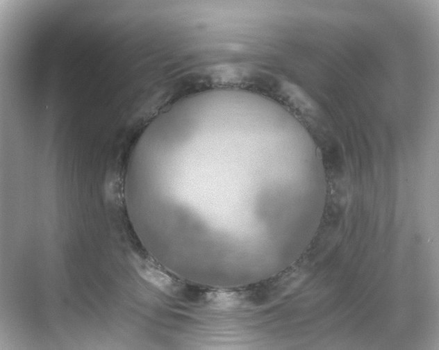 X0000068730419200605051504