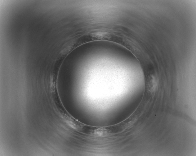 X0000068730420200605051504