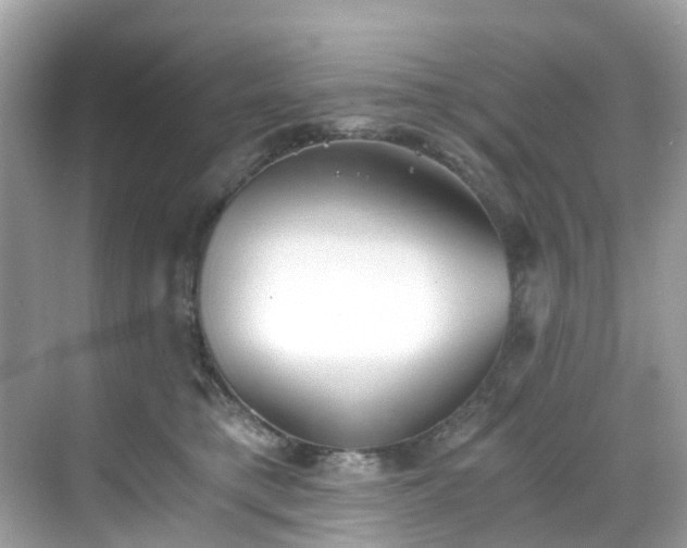 X0000068730421200605051504