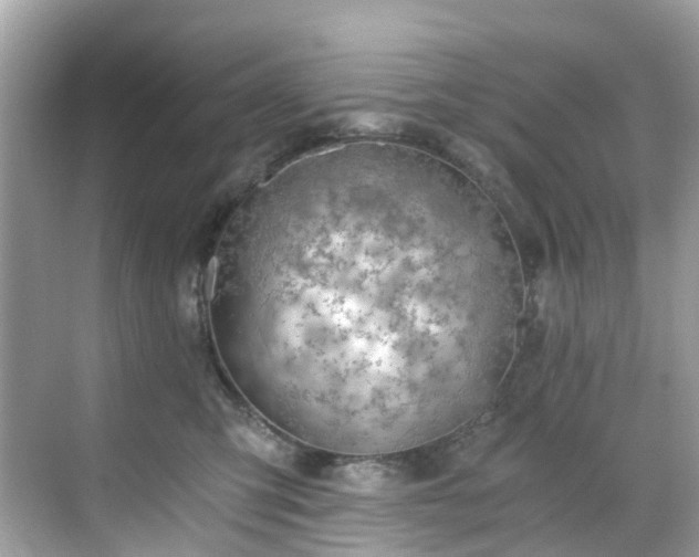 X0000068730423200605051504