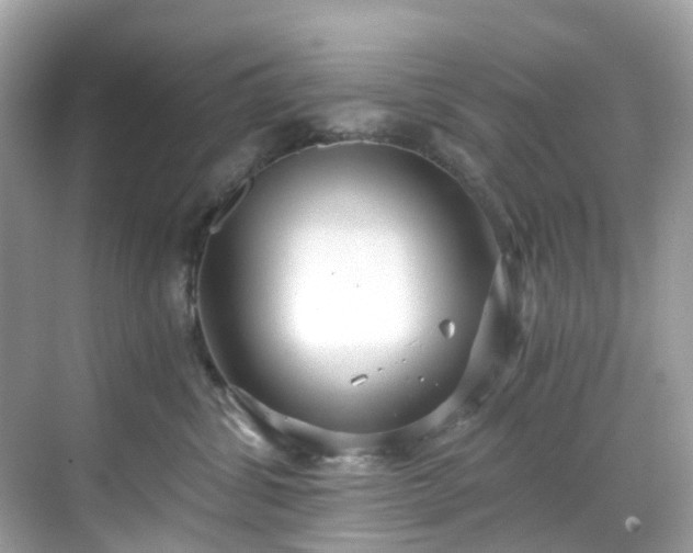 X0000068730428200605051504