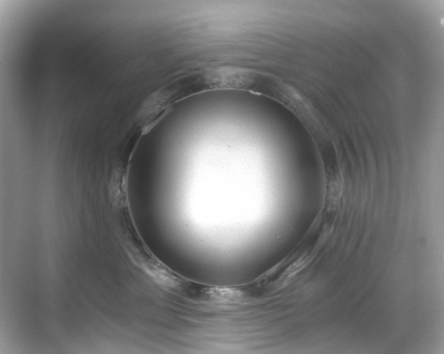 X0000068730429200605051504