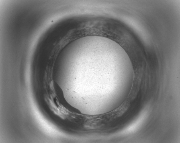 X0000068730431200605051504