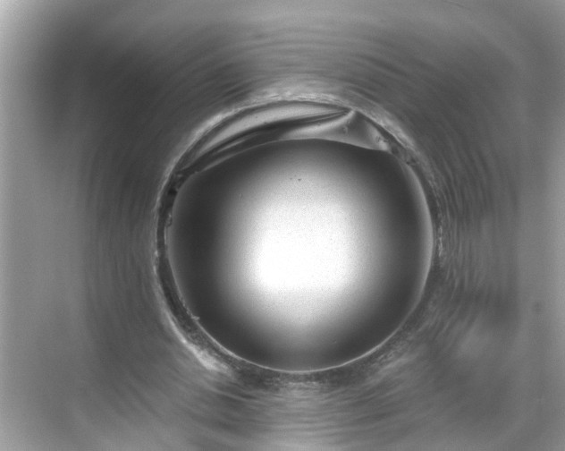 X0000068730438200605051503