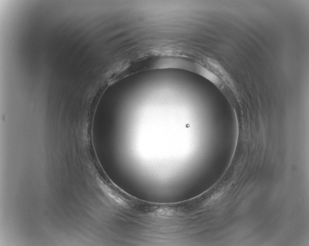 X0000068730441200605051503