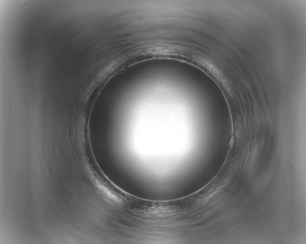 X0000068730445200605051503