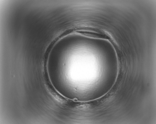 X0000068730447200605051503