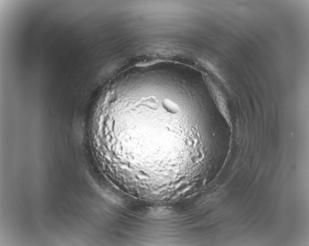 X0000068730451200605051503