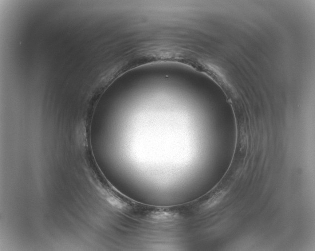 X0000068730453200605051503