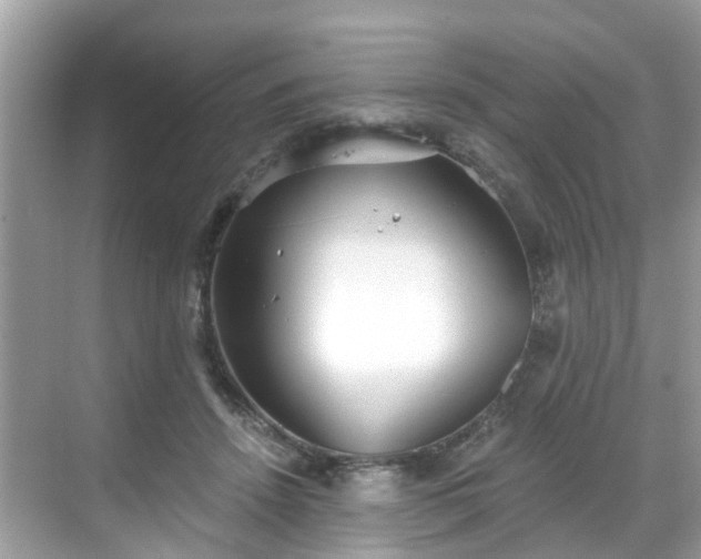 X0000068730456200605051503