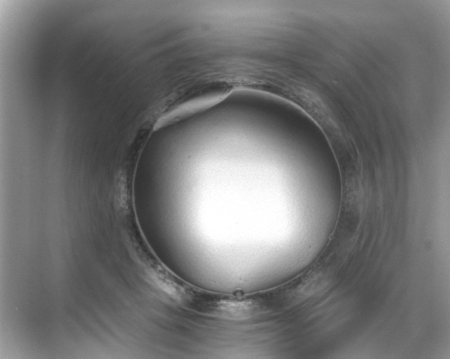 X0000068730457200605051503