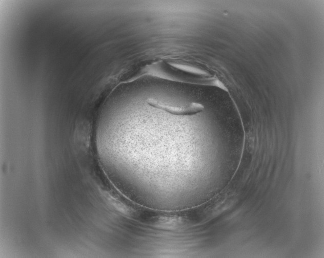 X0000068730458200605051503