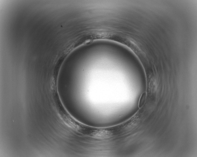 X0000068730459200605051503