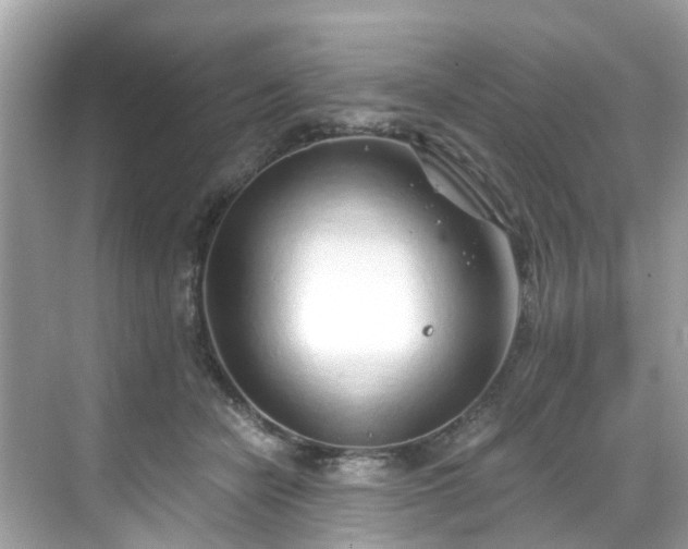 X0000068730462200605051503