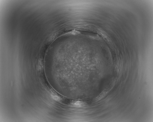 X0000068730467200605051503