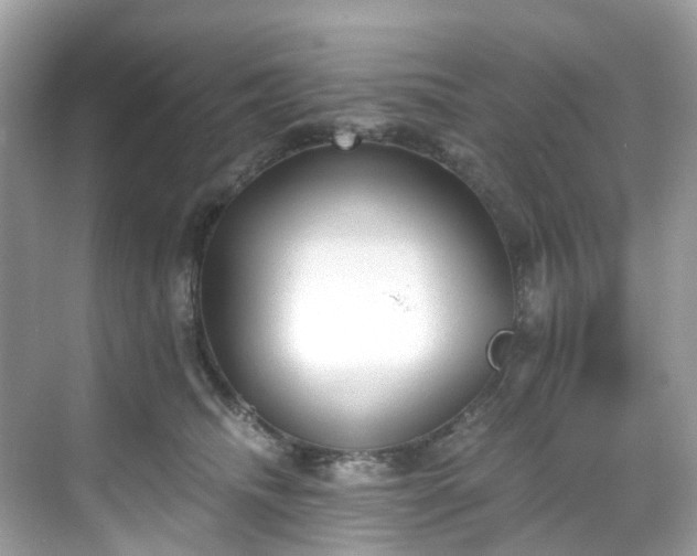 X0000068730468200605051503