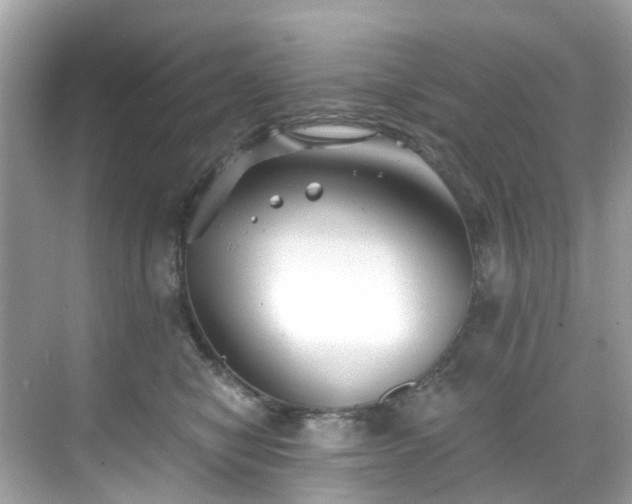 X0000068730470200605051503