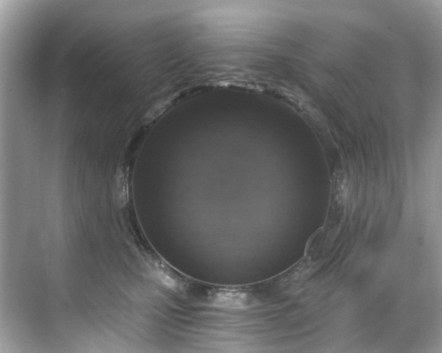 X0000068730471200605051503